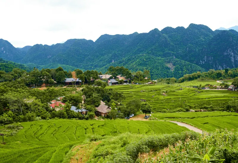 A village of stilt houses among green rice terraces in Pu Luong